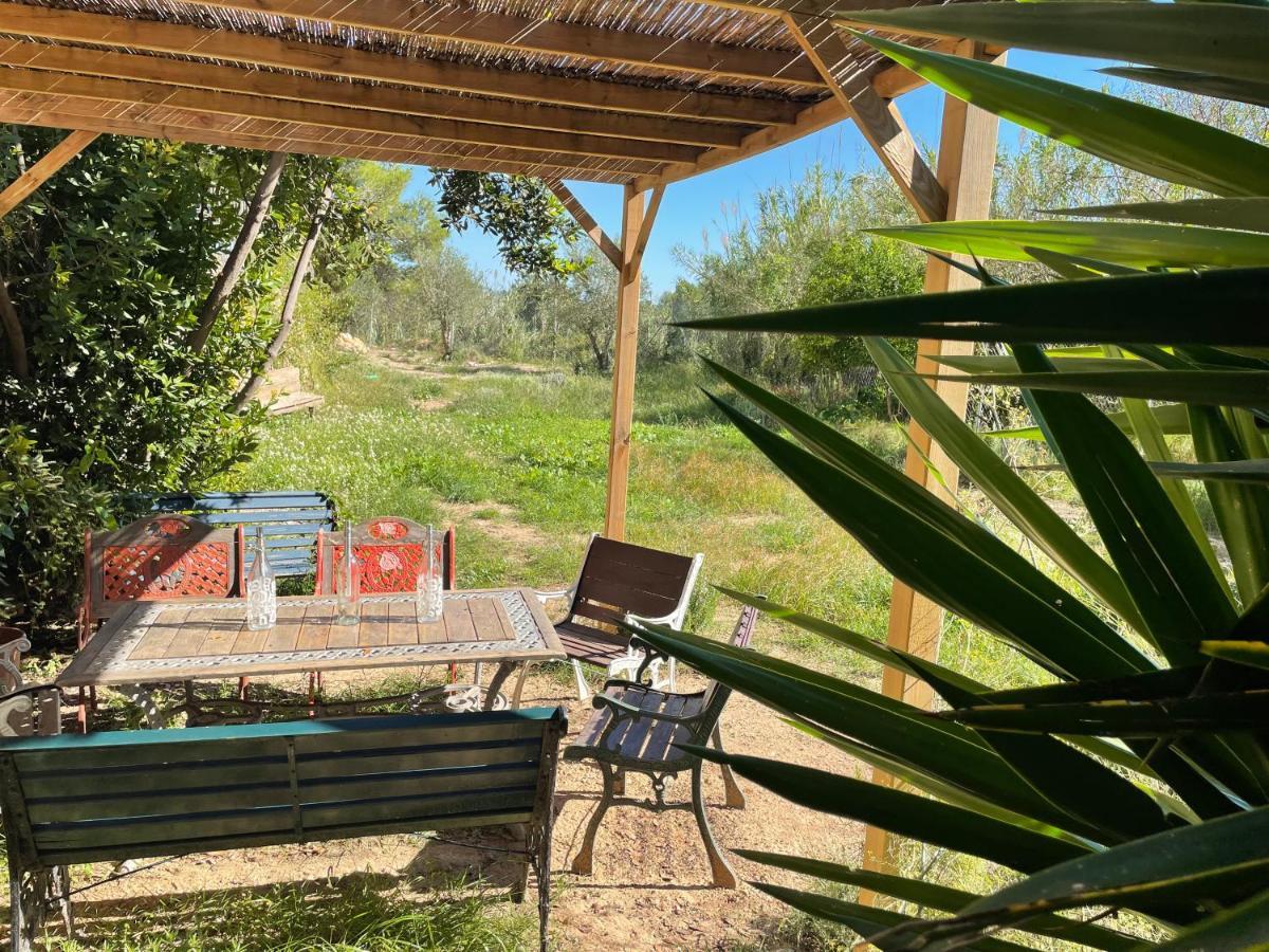 Casa Rural Con Jardin,A 8Km Playa Y En La Naturaleza Taronja&Canyella Ardenya Экстерьер фото