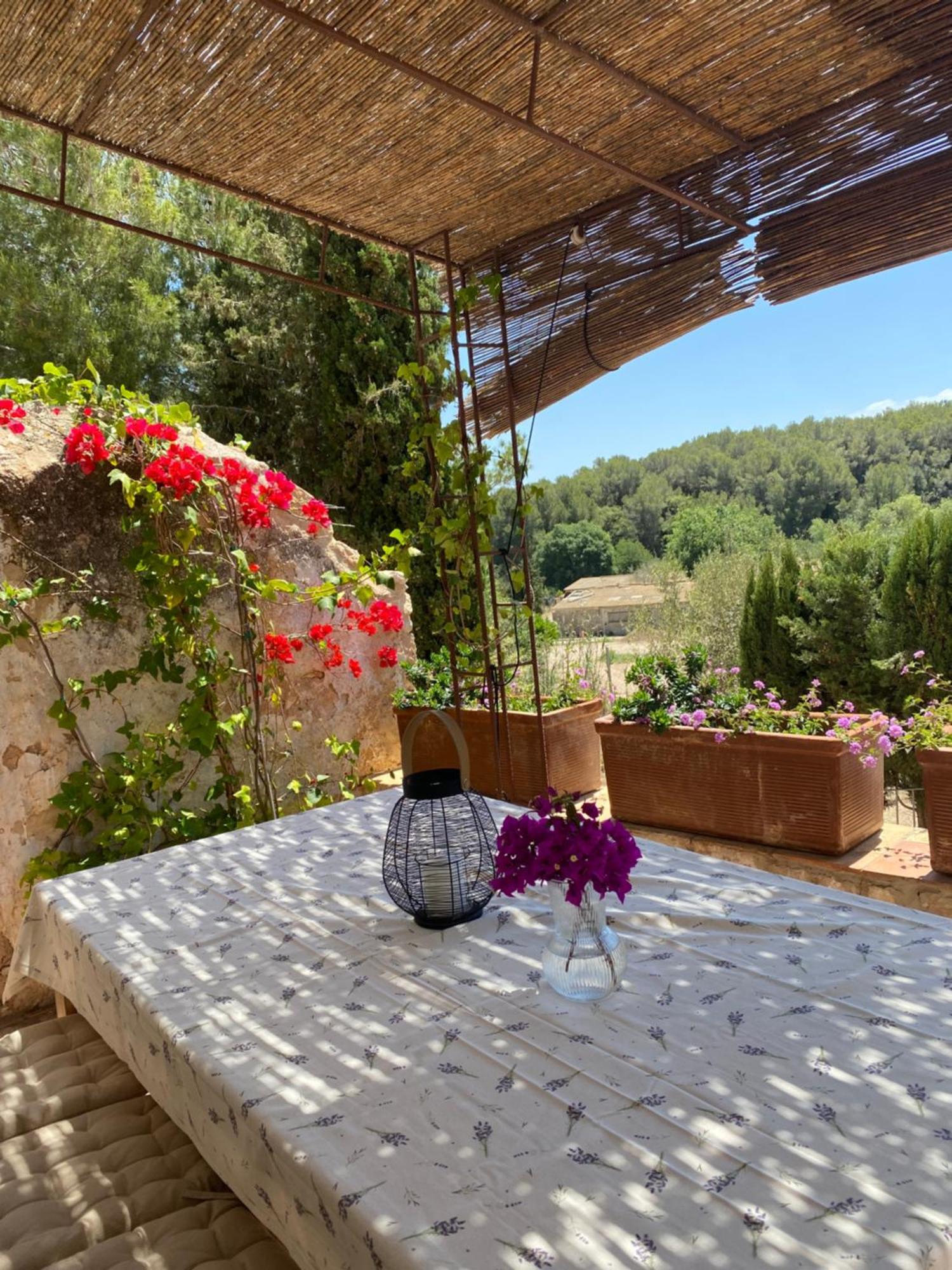 Casa Rural Con Jardin,A 8Km Playa Y En La Naturaleza Taronja&Canyella Ardenya Экстерьер фото