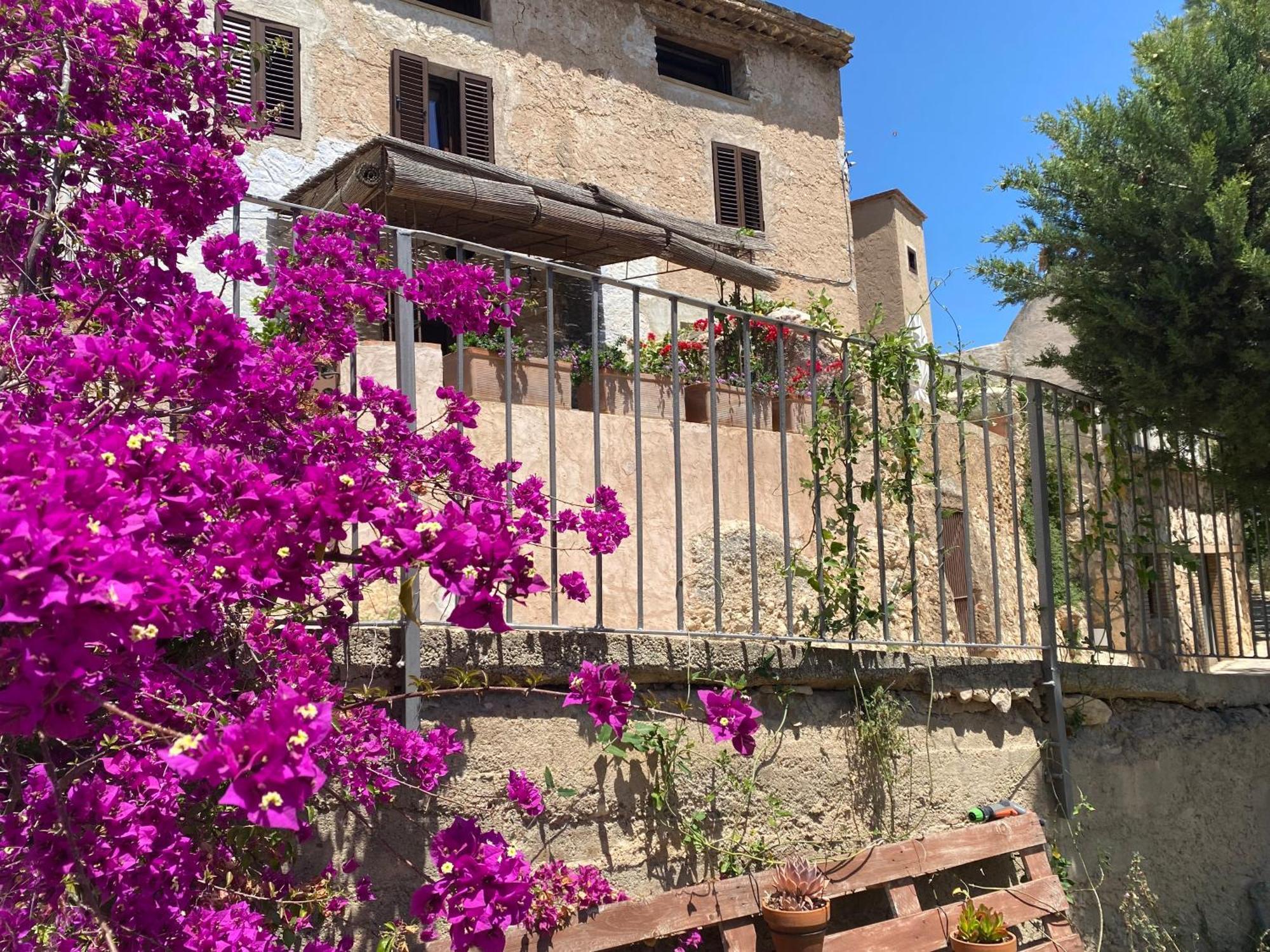 Casa Rural Con Jardin,A 8Km Playa Y En La Naturaleza Taronja&Canyella Ardenya Экстерьер фото